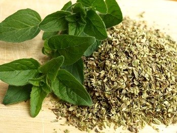 Top Herbs for Drying
