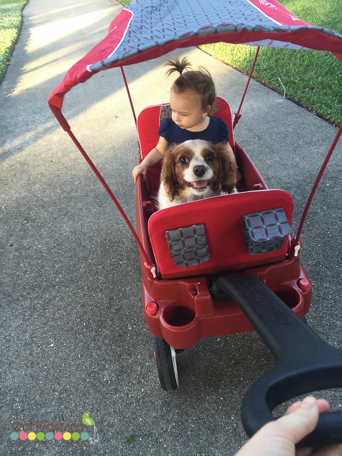 Radio Flyer Wagon Review -