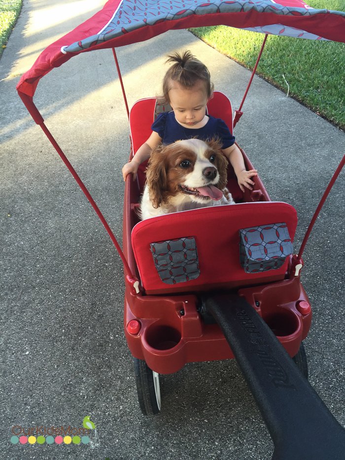 Ultimate Comfort Wagon by Radio Flyer