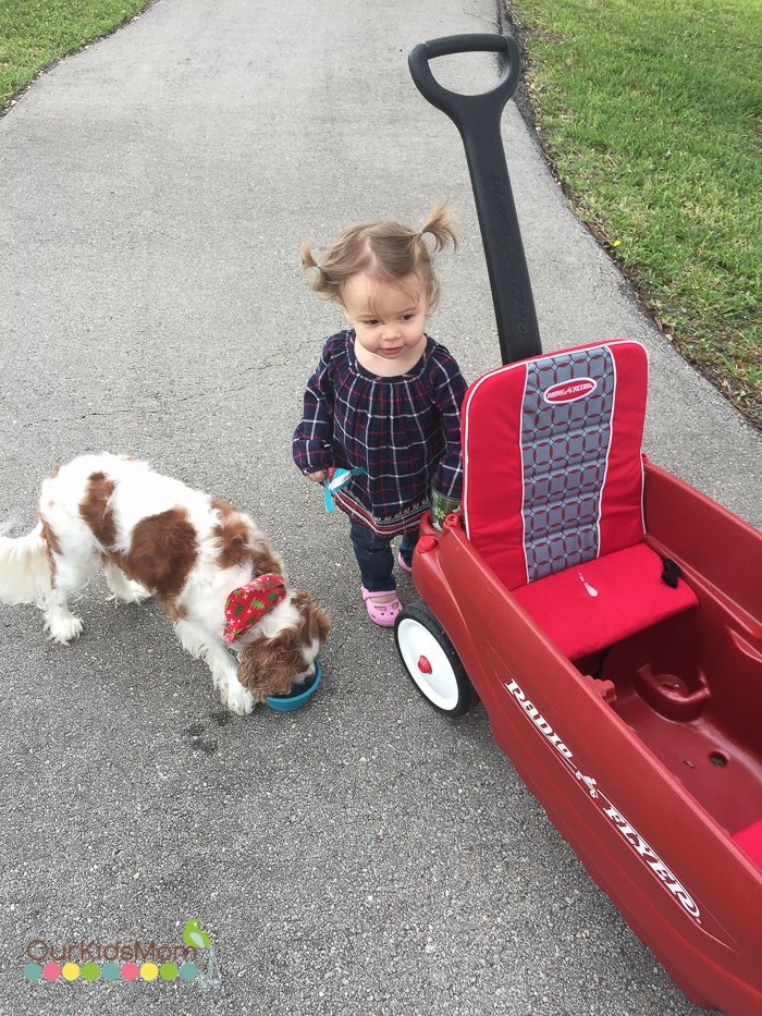 Radio Flyer Wagon Review --8