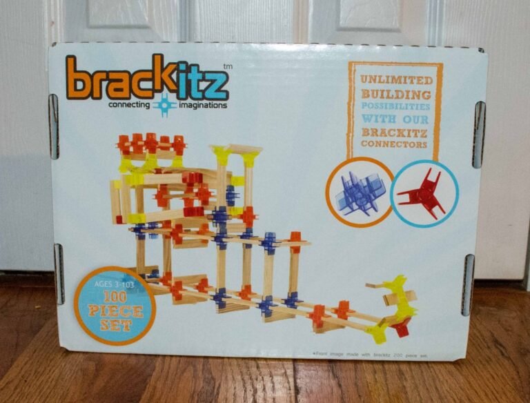 Brackitz: A New Type of Building Block