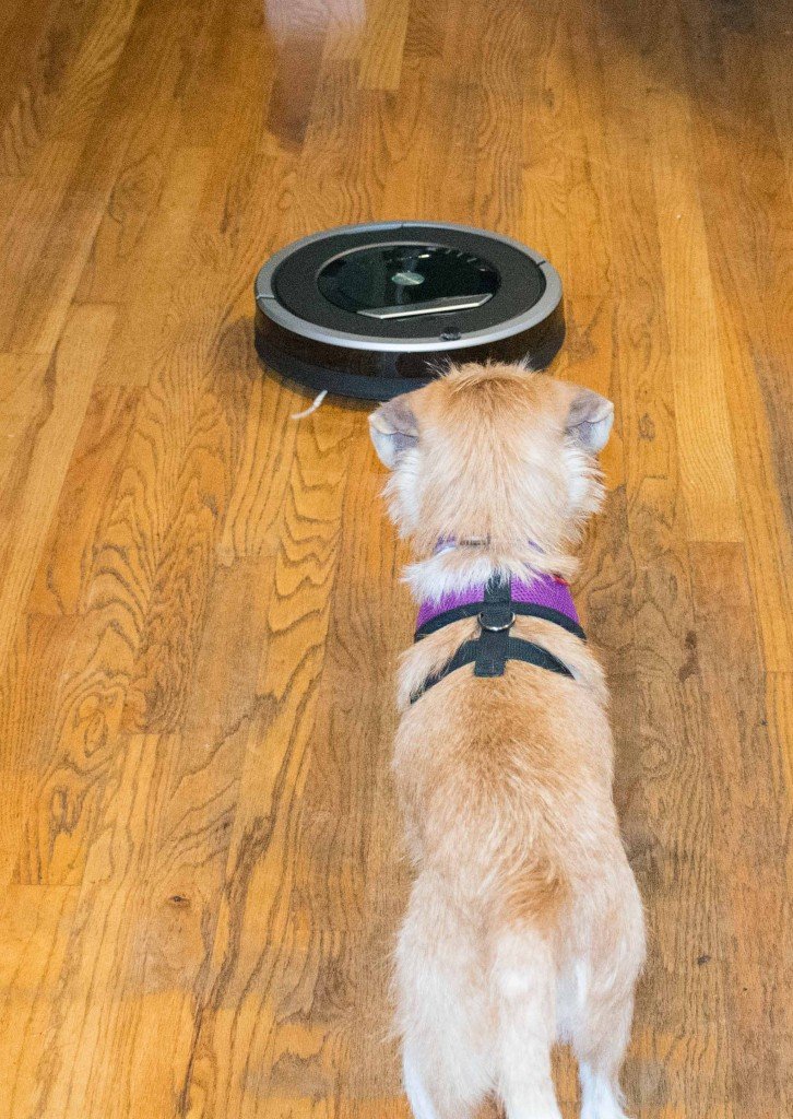roomba5