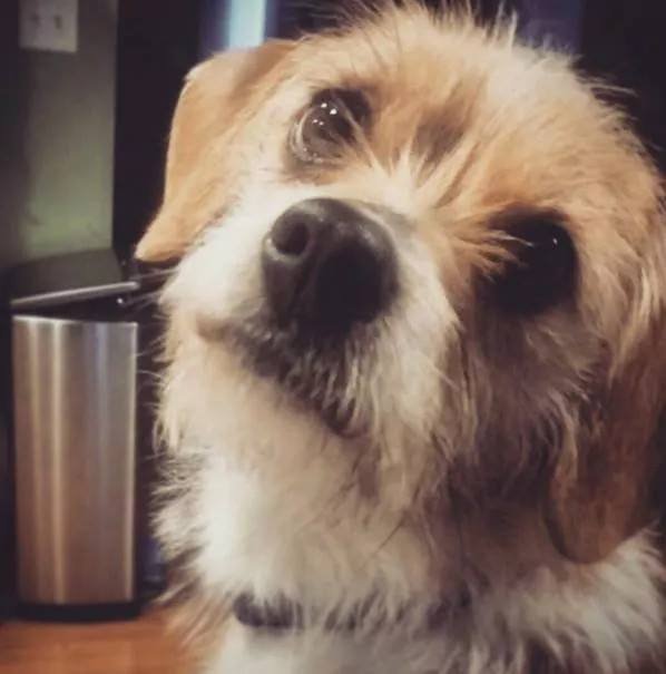 10847105_10152767687853100_1195092168_n