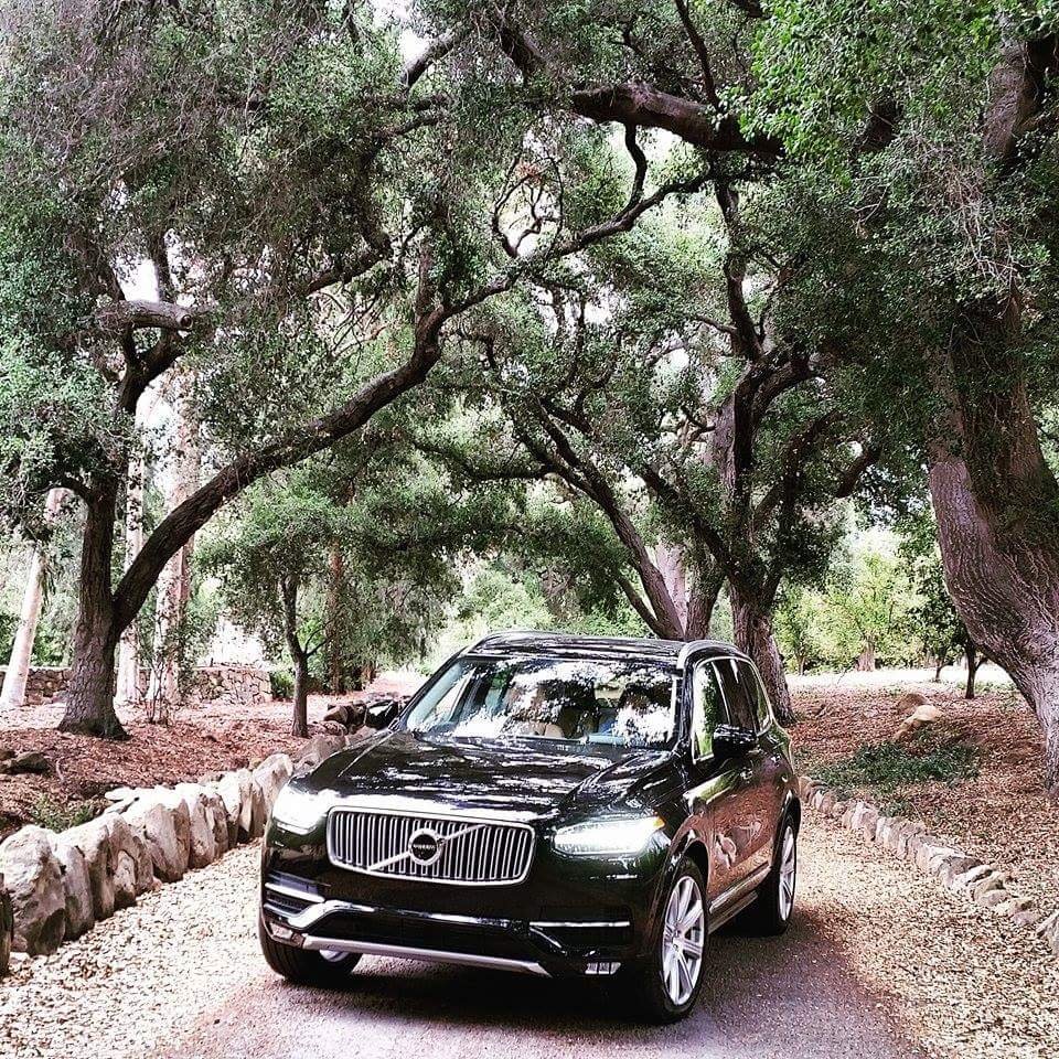 11256510_10152924919458100_467538838_n