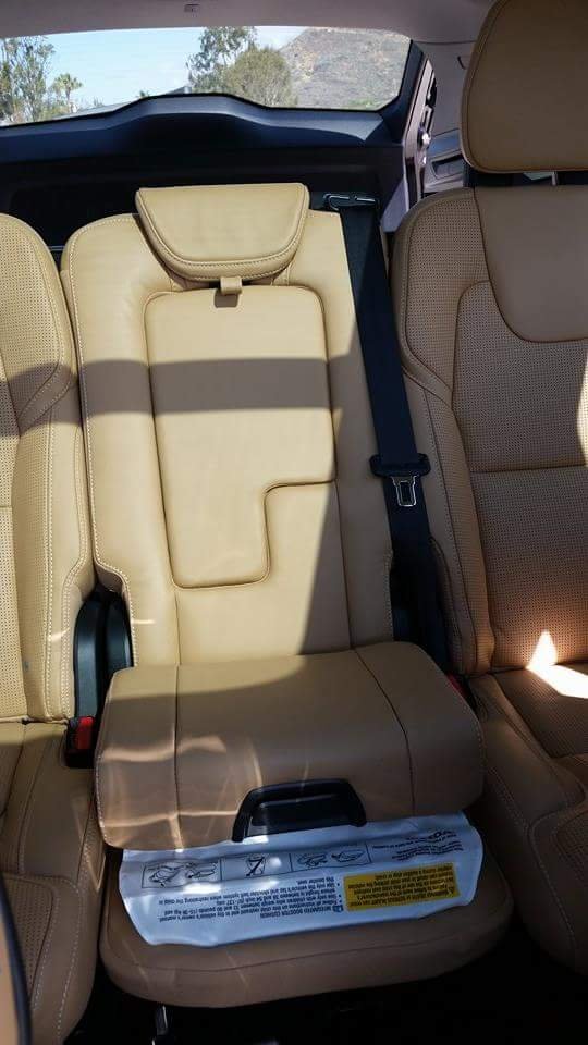 11267271_10152923029403100_348493522_n