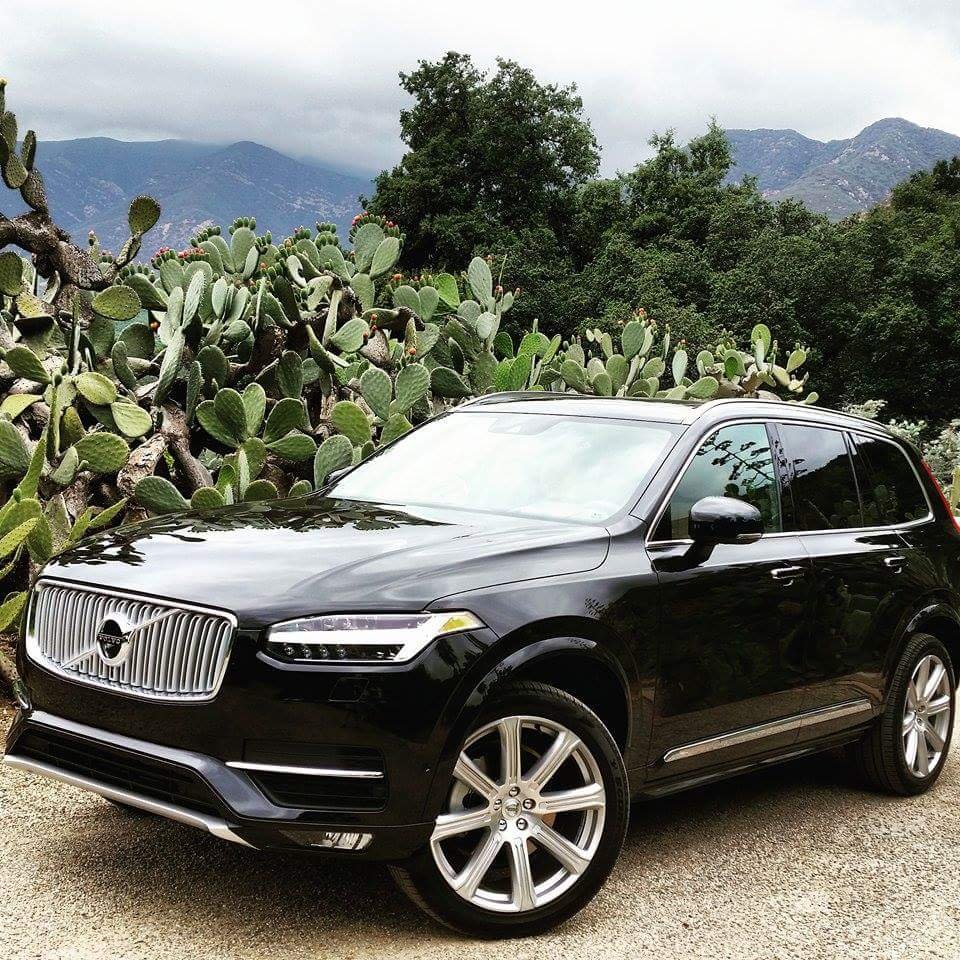 11282019_10152924920753100_383850747_n