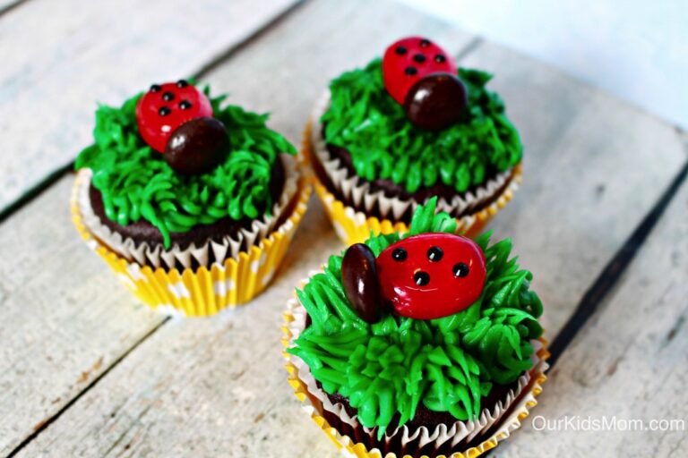 Ladybug Chocolate Cupcakes Recipe