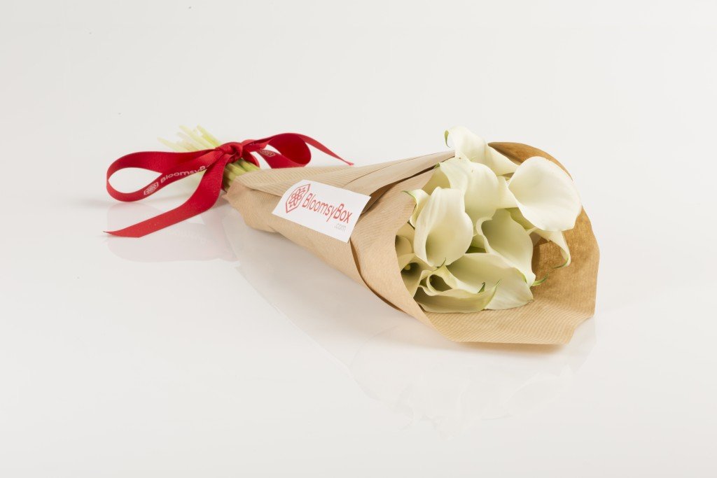 jv_BloomsyBox_151023-1236