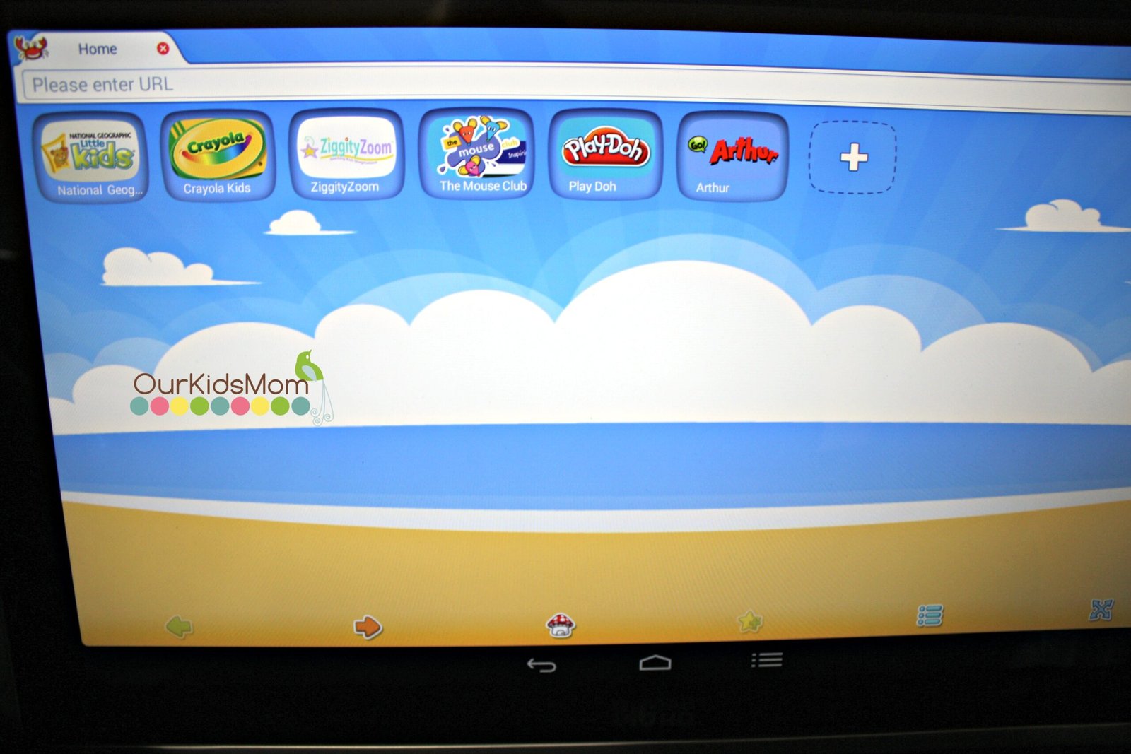 Web Browser Features
