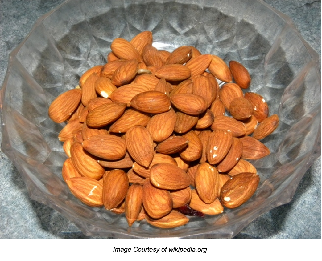 Screen Shot 2015-12-23 at 3.47.24 PM