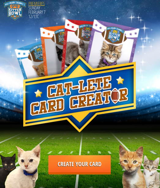 Cat Lete Card Creator
