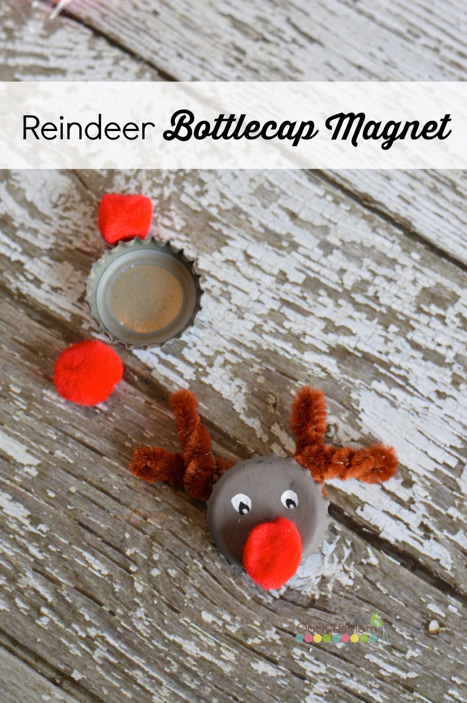 Finished Reindeer Magnet