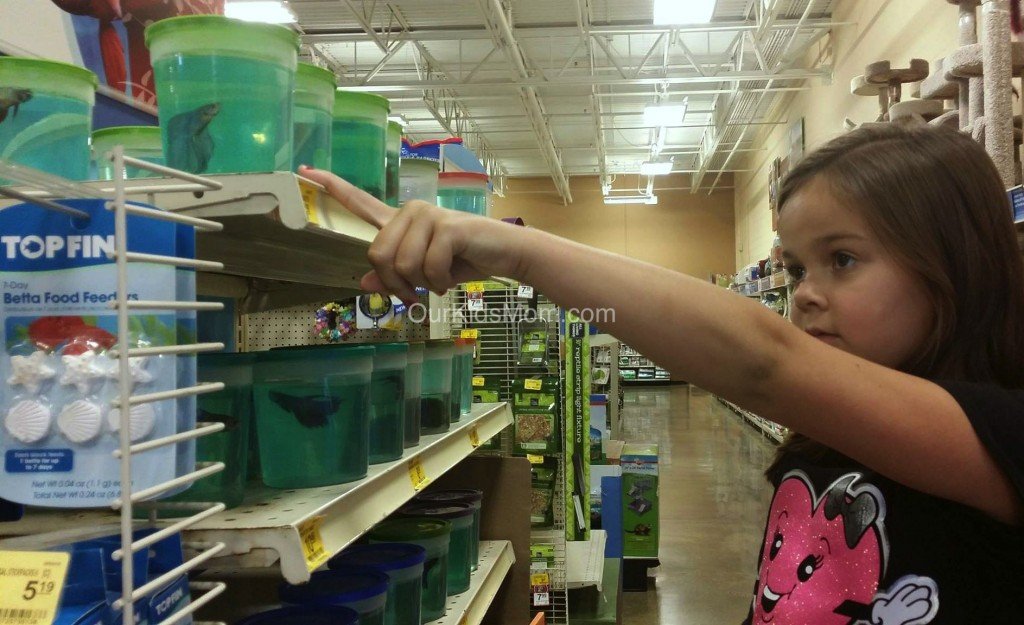 petsmart5