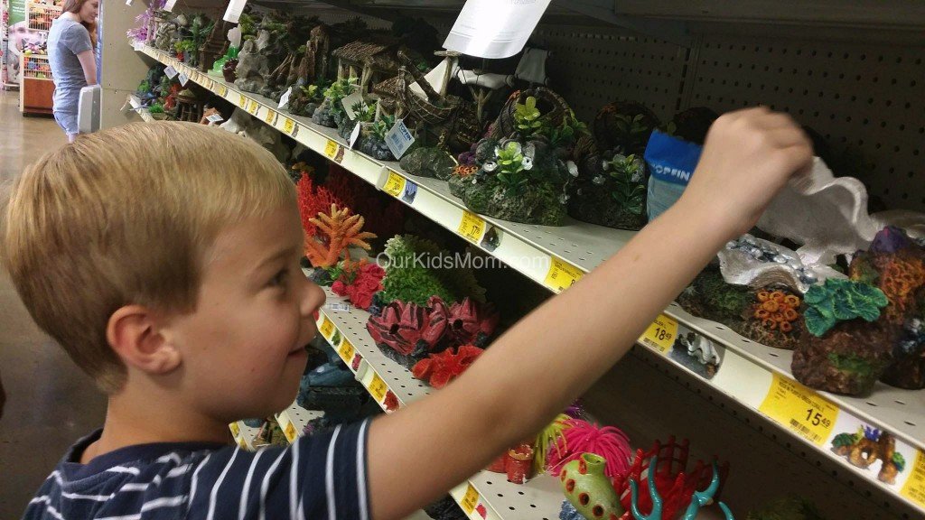 petsmart6