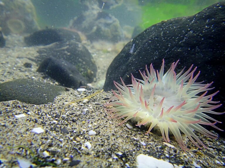 5 Fun Ways to Learn This Summer