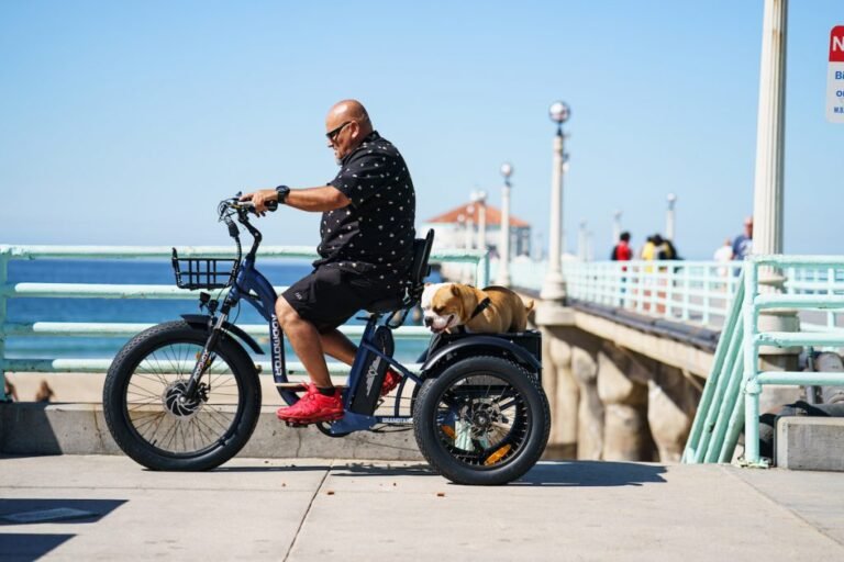 Electric Trikes: Your Ideal Travel Companion