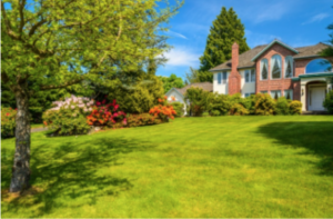 Fall Lawn Care is Here