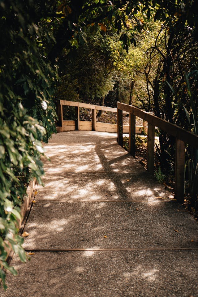 Planning the Ideal Biking Itinerary for a New Zealand Holiday