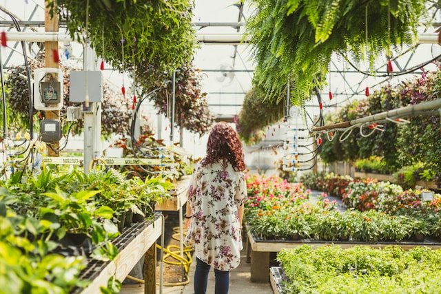 The Rewards and Challenges of Managing a Family Greenhouse
